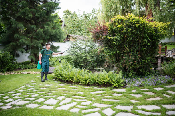 Pest Control Cost in Harbor, OR