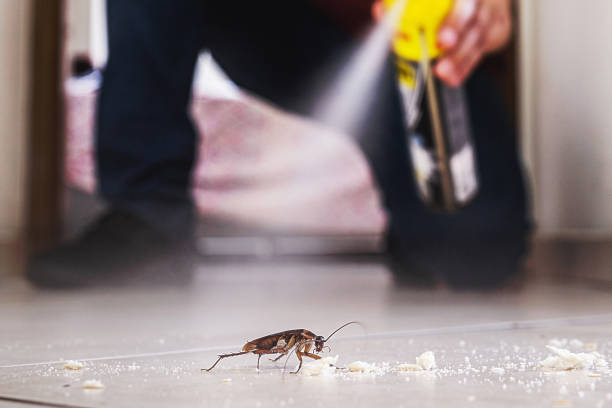 Best Emergency Pest Control  in Harb, OR