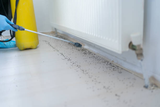 Best Pest Control Near Me  in Harb, OR
